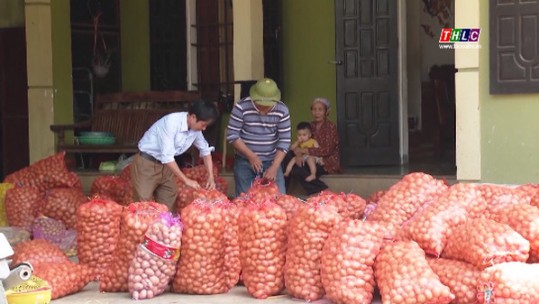 Bảo quản nông sản sau thu hoạch vẫn còn bỏ ngỏ