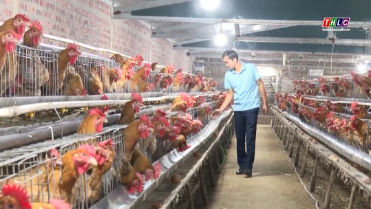 Nông dân Sơn Hải chủ động sản xuất con giống tại chỗ