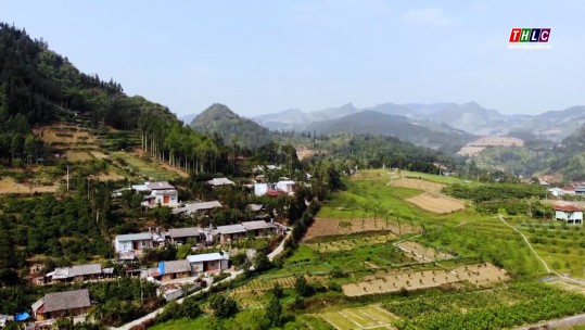 Nông nghiệp - Nông thôn: Tập trung chuyển đổi sản xuất, phát triển kinh tế (02/01/2024)