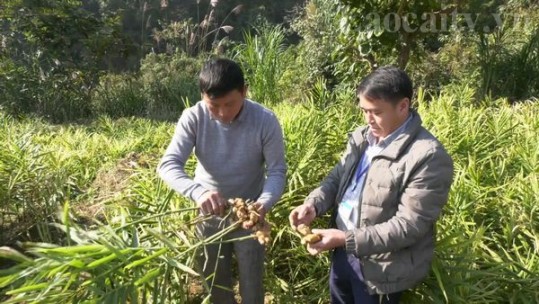 Nâng cao hiệu quả giảm nghèo từ công tác cán bộ