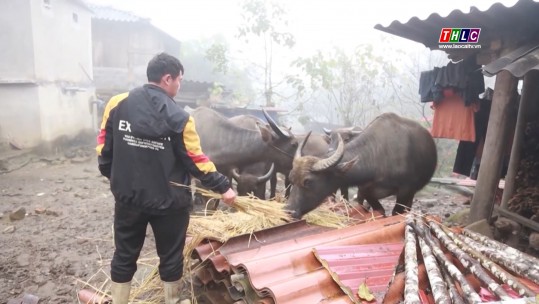 Rét đậm, rét hại kéo dài nhiều ngày tới