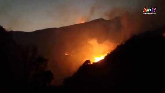 Huy động hơn 300 người tham gia dập đám cháy rừng tại Sa Pa
