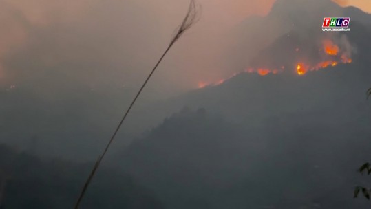 Gần 500 người tham gia chữa cháy rừng ở vườn quốc gia Hoàng Liên