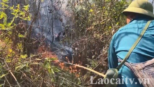 Nỗ lực khống chế cháy rừng tại Sa Pa