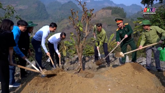 Mường Khương sẽ trồng mới 300 ha rừng