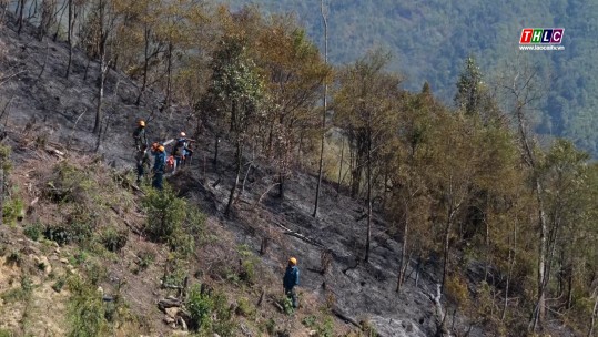 Dồn sức cho công tác chữa cháy rừng