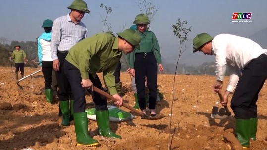 Huyện Văn Bàn phát động trồng cây xanh năm 2024