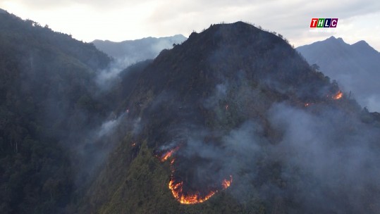 Bảo vệ rừng Hoàng Liên: Những vấn đề đặt ra sau vụ cháy rừng