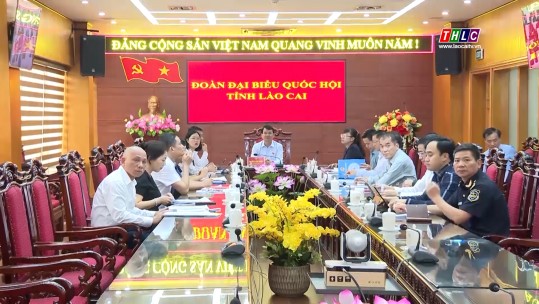 Đoàn Đại biểu Quốc hội tỉnh Lào Cai chất vấn về lĩnh vực tài chính