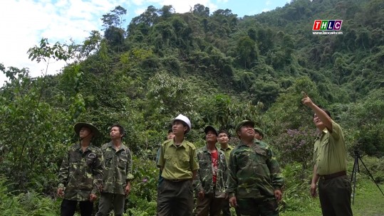 Xây dựng lực lượng Kiểm lâm Lào Cai vững mạnh