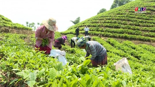 Định hướng phát triển du lịch nông nghiệp ở Lùng Khấu Nhin