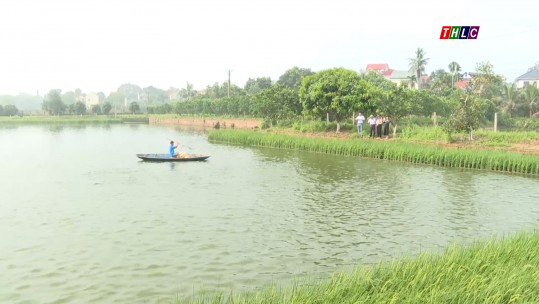 Phú Thọ: Đa lợi ích từ nông nghiệp tuần hoàn