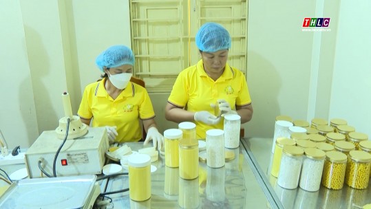 Lào Cai có 6 sản phẩm, bộ sản phẩm công nghiệp nông thôn tiêu biểu