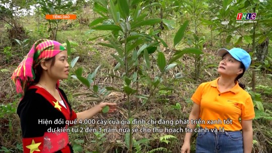 Phụ nữ vùng cao hôm nay (tiếng Dao): Chính sách xã hội gắn với tự lực của phụ nữ DTTS ở Lào Cai (27/5/2024)