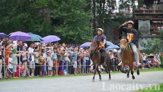 Hấp dẫn vòng chung kết Giải đua ngựa truyền thống huyện Bắc Hà năm 2024