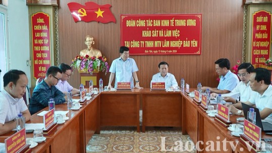 Đoàn công tác Ban Kinh tế Trung ương khảo sát, làm việc tại huyện Bảo Thắng và huyện Bảo Yên
