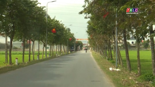 Lan tỏa những con đường xanh trong xây dựng nông thôn mới nâng cao ở Diễn Châu