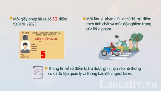 Tài xế bị trừ điểm giấy phép lái xe từ ngày 01/01/2025