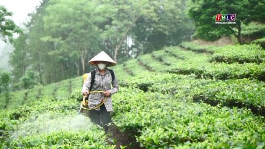 Kết đoàn: Nông dân Lào Cai (27/7/2024)