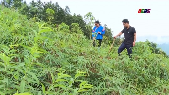 Bí thư chi bộ trẻ tích cực với phong trào xây dựng nông thôn mới