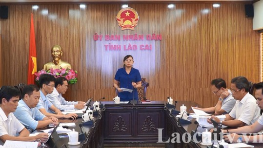 Họp Ban Tổ chức Cuộc thi Sáng tạo thanh thiếu niên, nhi đồng tỉnh Lào Cai 2024