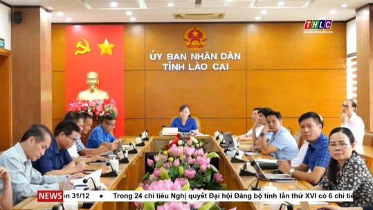 Thời sự Lào Cai 19h50 (31/7/2024)