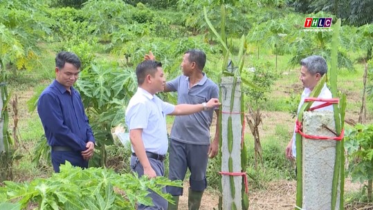 Tây Bắc chuyển động (01/8/2024)