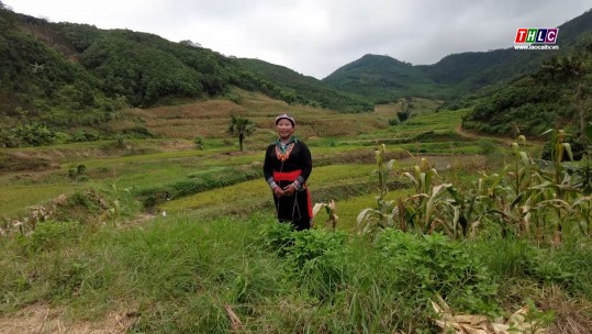 Ca nhạc (tiếng Dao) (07/8/2024)