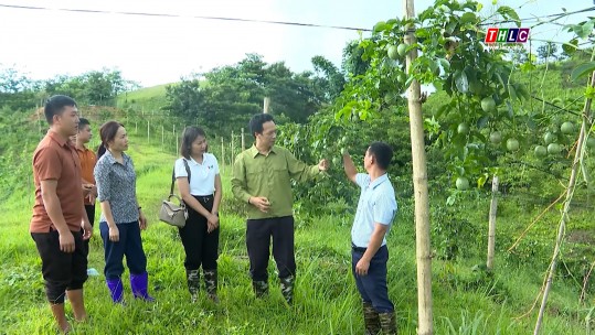 Tây Bắc chuyển động (08/8/2024)