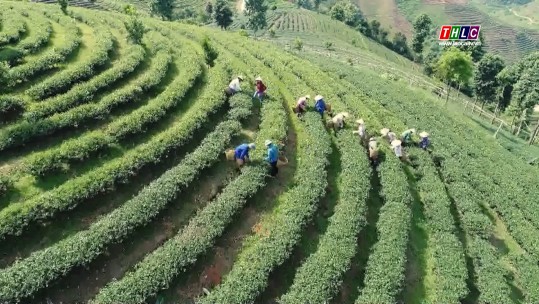 Tây Bắc chuyển động (09/8/2024)