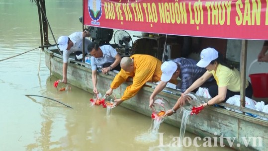 Tổ chức Lễ thả cá tái tạo nguồn lợi thủy sản ngày 18/8/2024