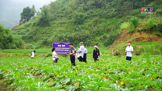 Phát huy hiệu quả từ mô hình ứng dụng khoa học và công nghệ trên địa bàn tỉnh