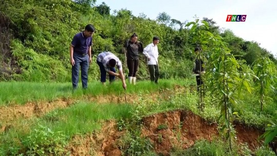 Thời sự Lào Cai 9h30 (12/8/2024)