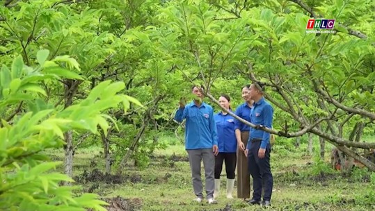 Phóng sự tài liệu: Đâu cần thanh niên có