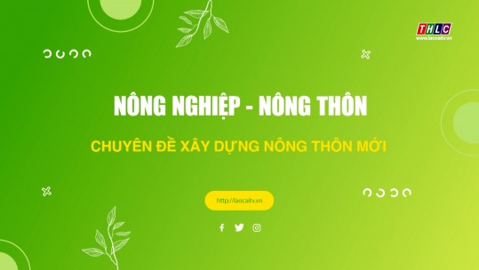 Lào cai xây dựng Nông thôn mới (13/8/2024)