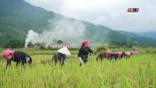 Thời sự Lào Cai 15h00 (14/8/2024)