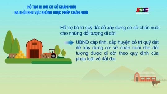 Chính sách hỗ trợ di dời cơ sở chăn nuôi ra khỏi khu vực không được phép chăn nuôi