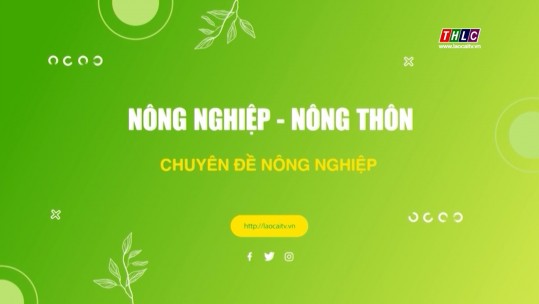 Nông nghiệp - Nông thôn: Chuyên đề xây dựng nông thôn mới (20/8/2024)