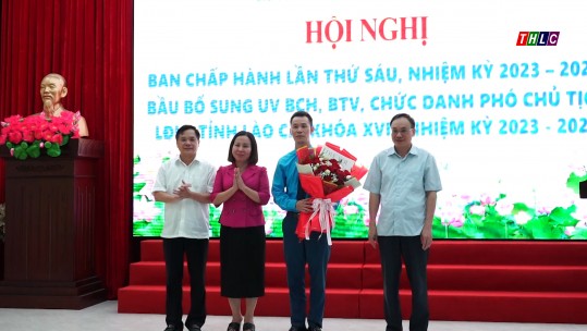 Bầu bổ sung Phó Chủ tịch Liên đoàn Lao động tỉnh khoá XVII