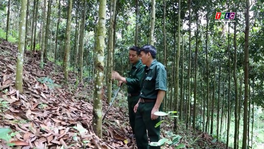 Thời sự Lào Cai 22h (24/8/2024)