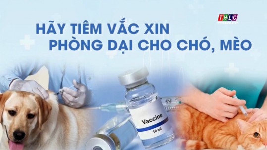 Văn hóa - Xã hội: Sức khỏe và Đời sống (25/8/2024)