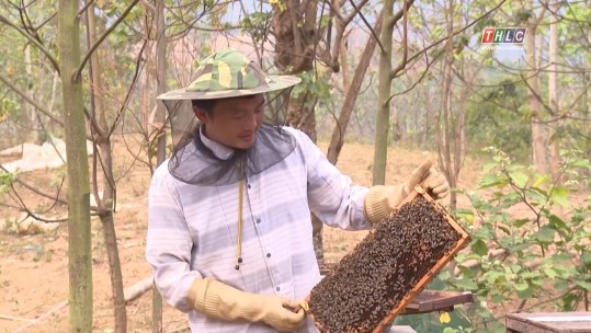 Sáng tạo, khởi nghiệp trong thanh niên Lào Cai