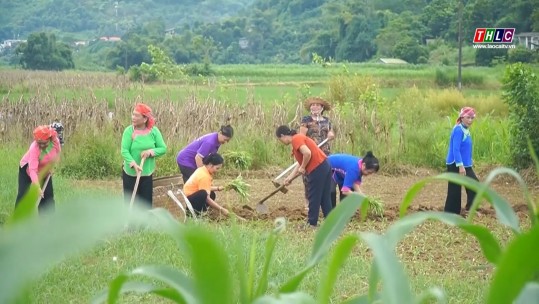 Câu lạc bộ liên thế hệ tự giúp nhau – Điểm tựa của người cao tuổi