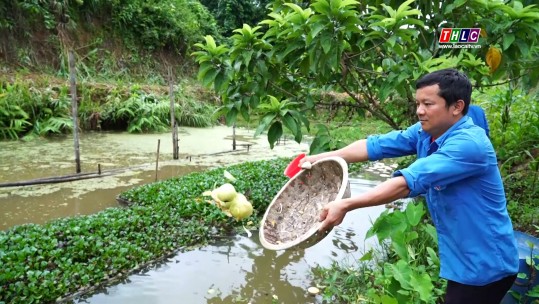 Thời sự Lào Cai 19h50 (29/8/2024)