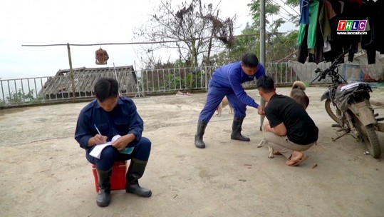 Tăng cường công tác phòng, chống bệnh dại