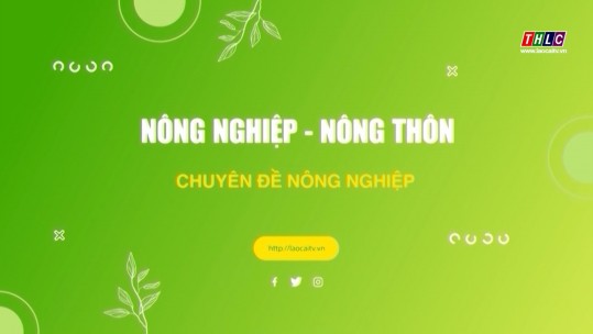 Nông nghiệp - Nông thôn tiếng Dao (09/9/2024)