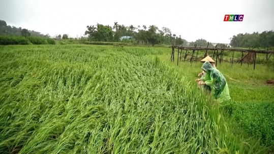 Tây Bắc chuyển động (09/9/2024)