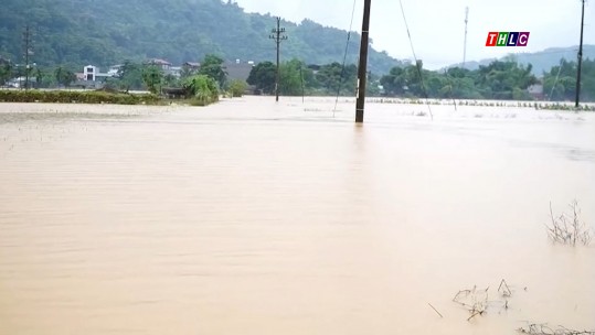 Cánh đồng Quang Kim ngập sâu trong nước