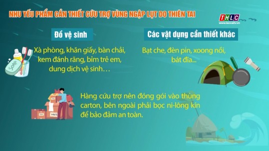 Một số nhu yếu phẩm cẩn thiết cứu trợ người dân vùng ngập lụt