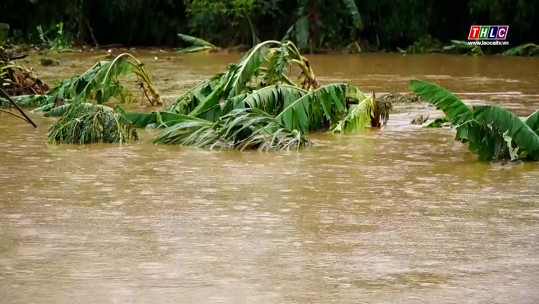 Thiên tai gây thiệt hại nặng nề cho nông nghiệp